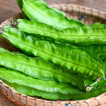 Winged Bean Seeds – Green