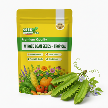Winged Bean Seeds – Tropical
