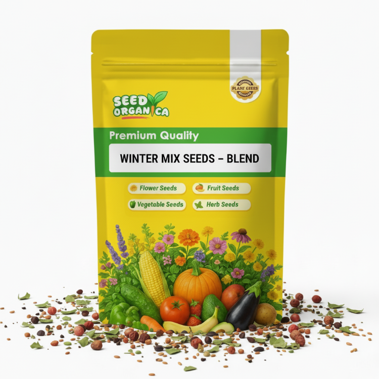 Winter Mix Seeds – Blend