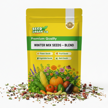 Winter Mix Seeds – Blend
