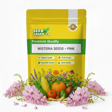 Wisteria Seeds – Pink