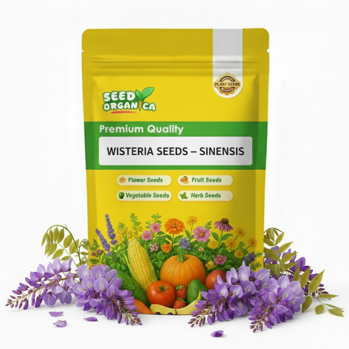 Wisteria Seeds – Sinensis