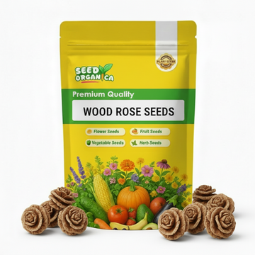 Wood Rose  Seeds