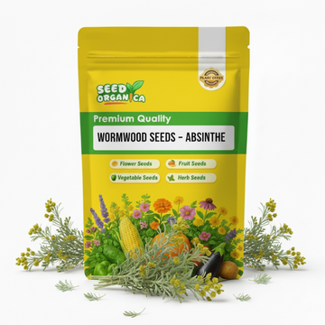 Wormwood Seeds – Absinthe