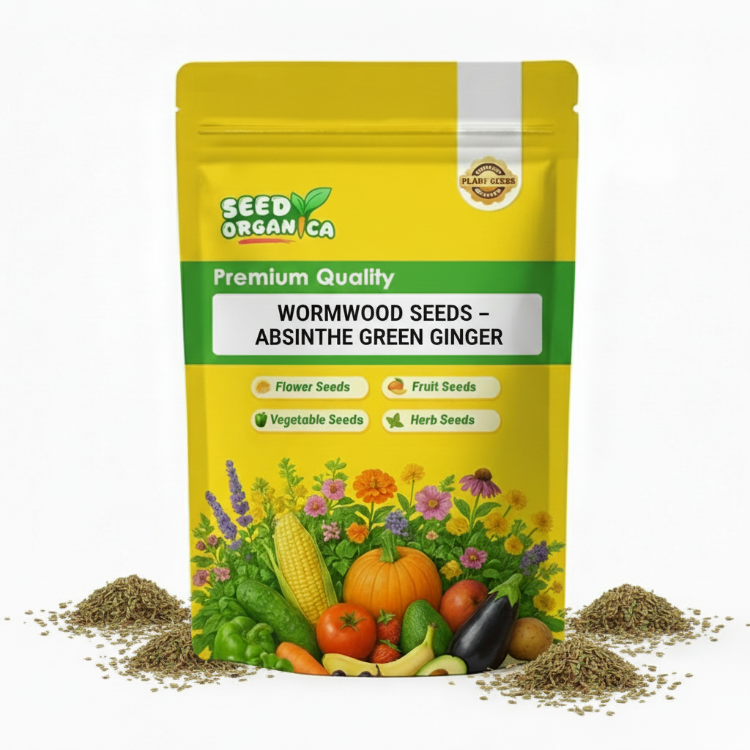 Wormwood Seeds – Absinthe Green Ginger