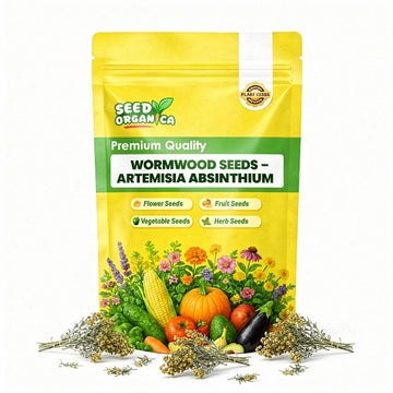 Wormwood Seeds – Artemisia Absinthium
