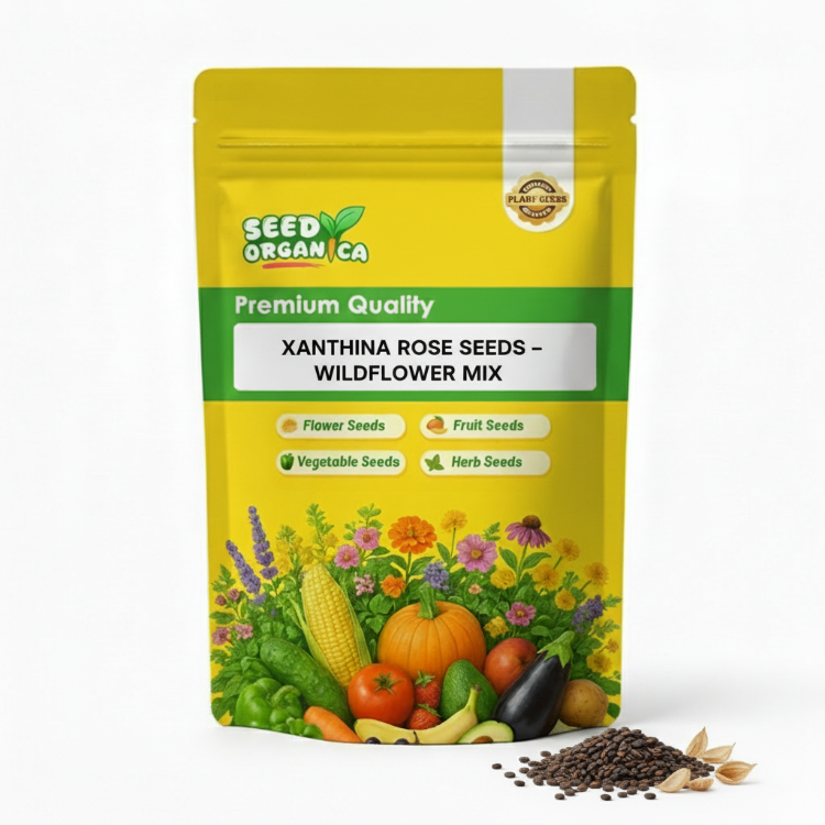 Xanthina Rose Seeds – Wildflower Mix
