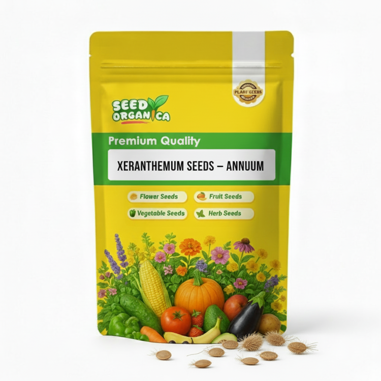 Xeranthemum Seeds – Annuum