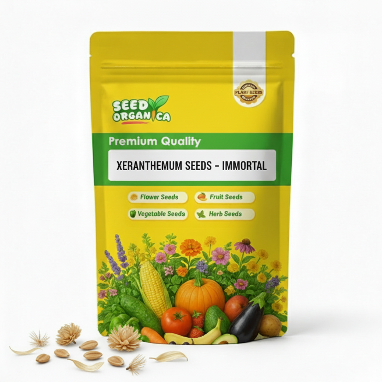 Xeranthemum Seeds – Immortal