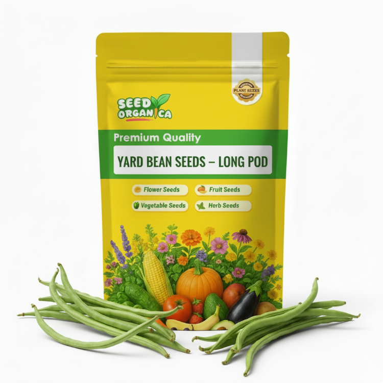 Yard Bean Seeds – Long Pod