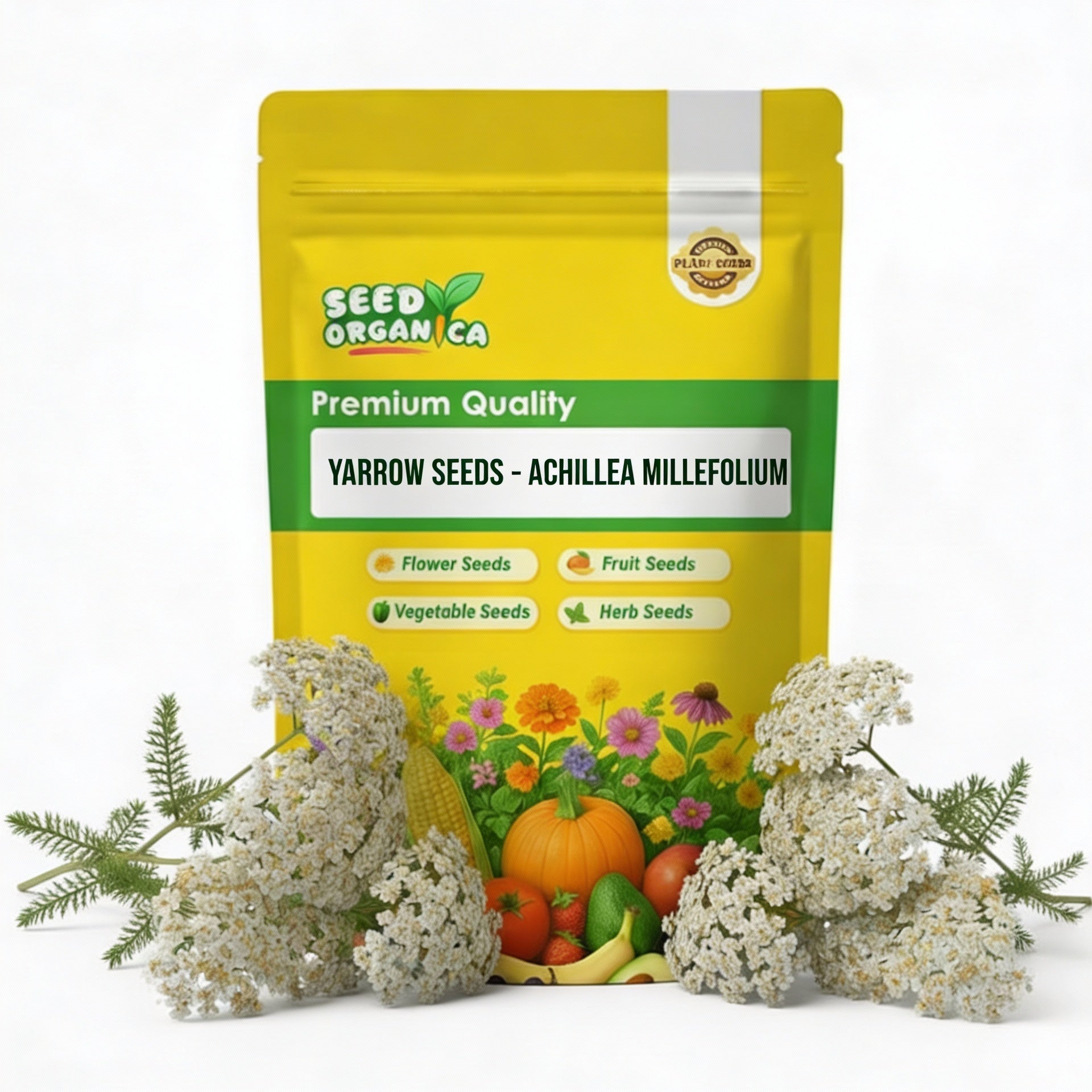 Yarrow Seeds - Achillea Millefolium