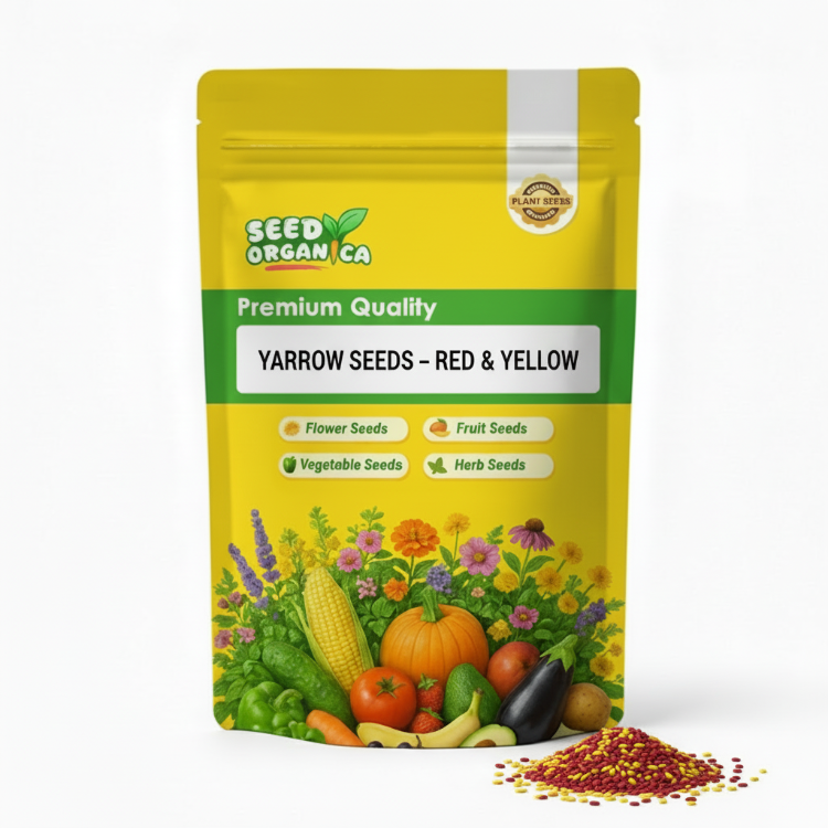 Yarrow Seeds – Red & Yellow
