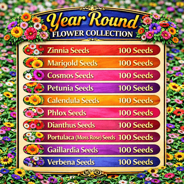 Year Round Flower Collection Seeds