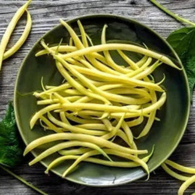 Yellow Arikara Bean Seeds