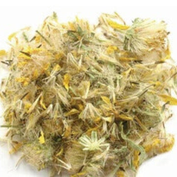 Yellow Arnica Montana Seeds
