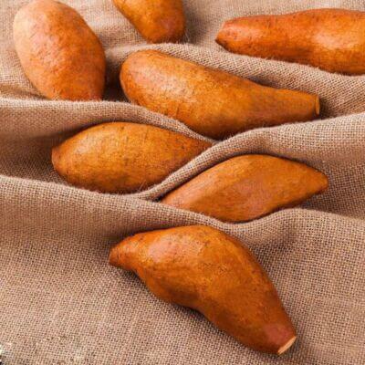 Yellow Batatas Potato Seeds