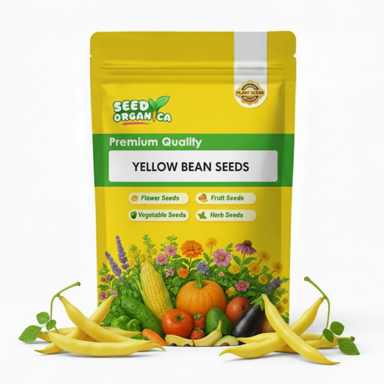 Yellow Bean Seeds