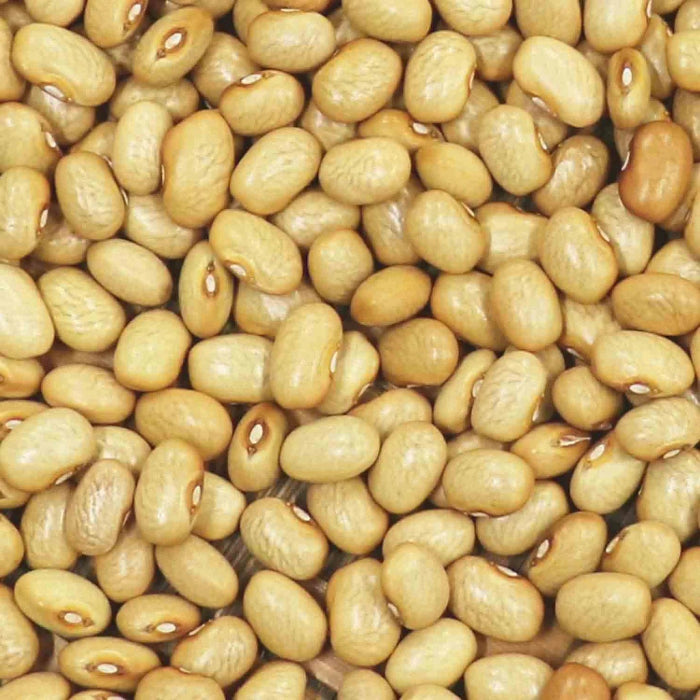 Yellow Bean Seeds