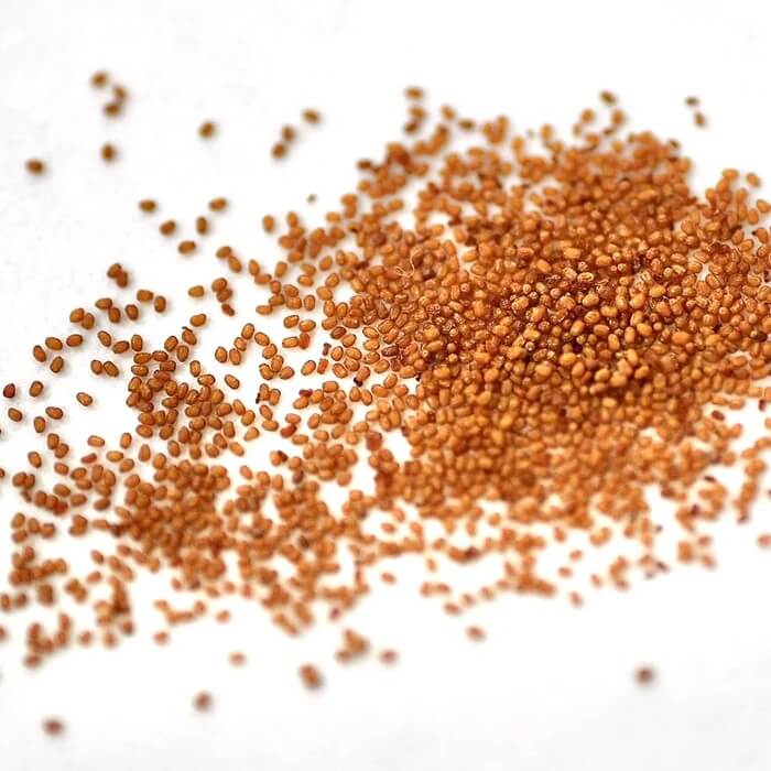 Yellow Begonia Seeds 