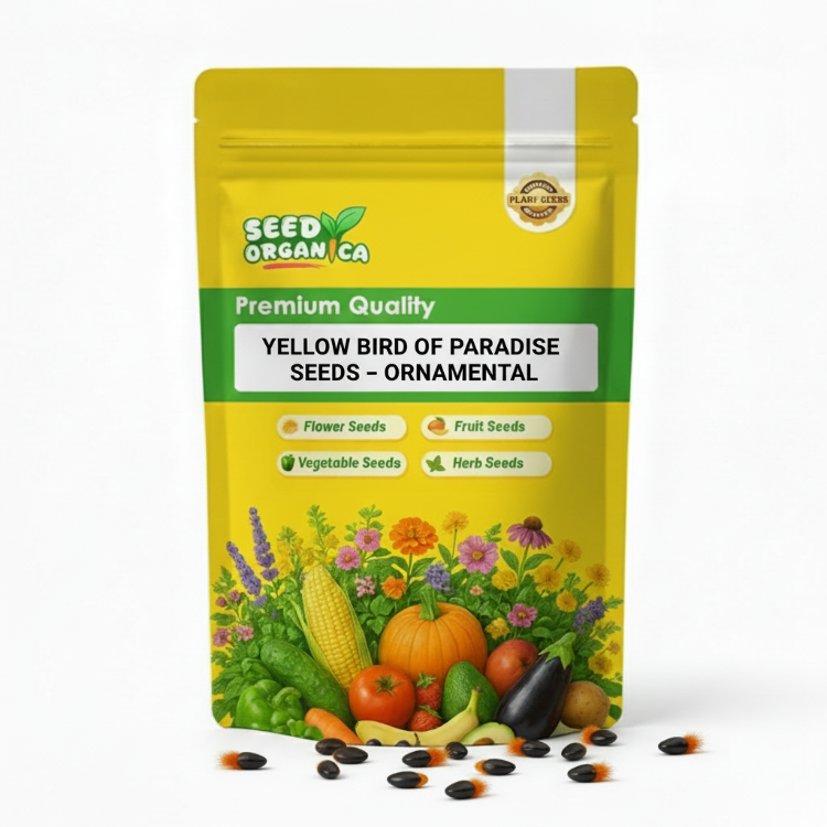Yellow Bird of Paradise Seeds – Ornamental