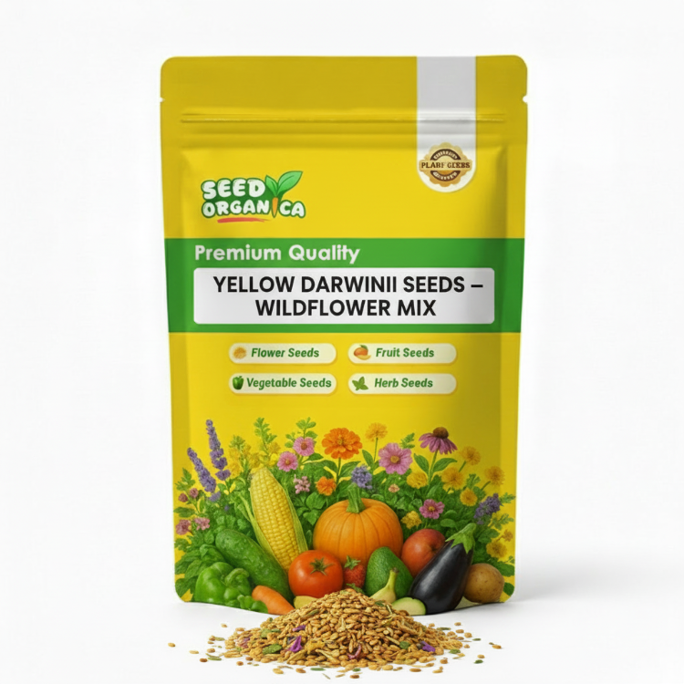 Yellow Darwinii Seeds – Wildflower Mix