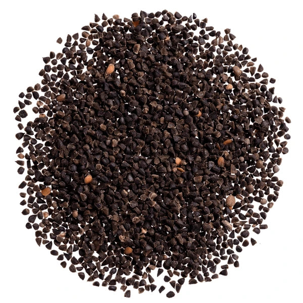 Yellow Delphinium Seeds 