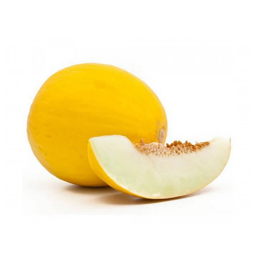 Yellow Galia Melon Seeds
