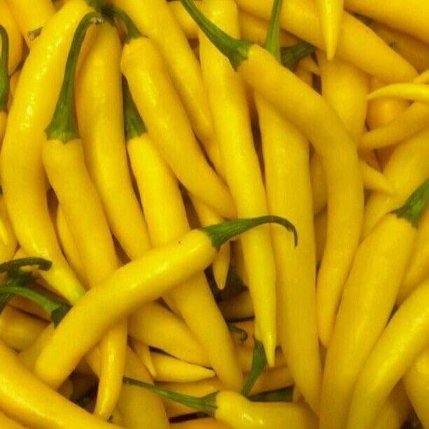 Yellow Hot Pepper Seeds 