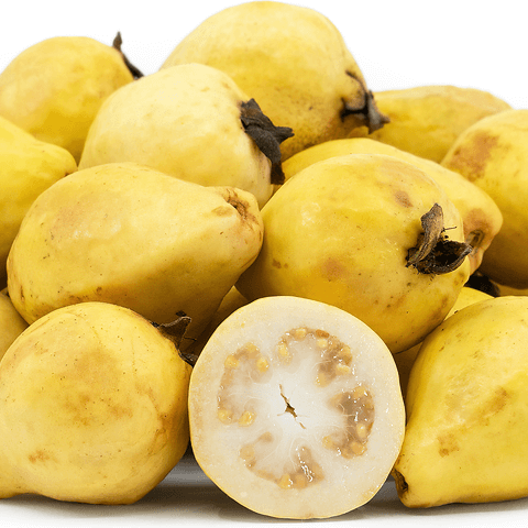 Yellow Mexican Cream Guava Seeds