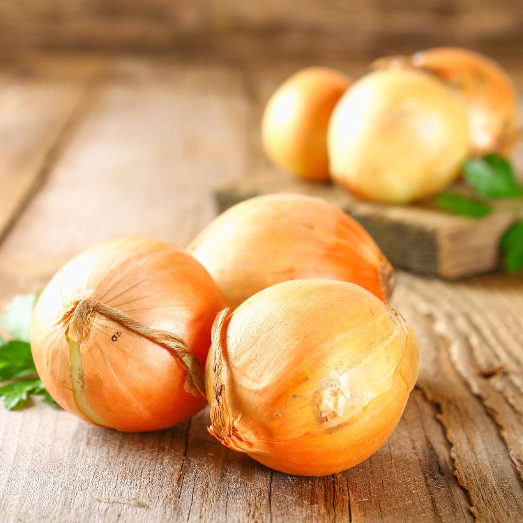 Yellow Onion Seeds 