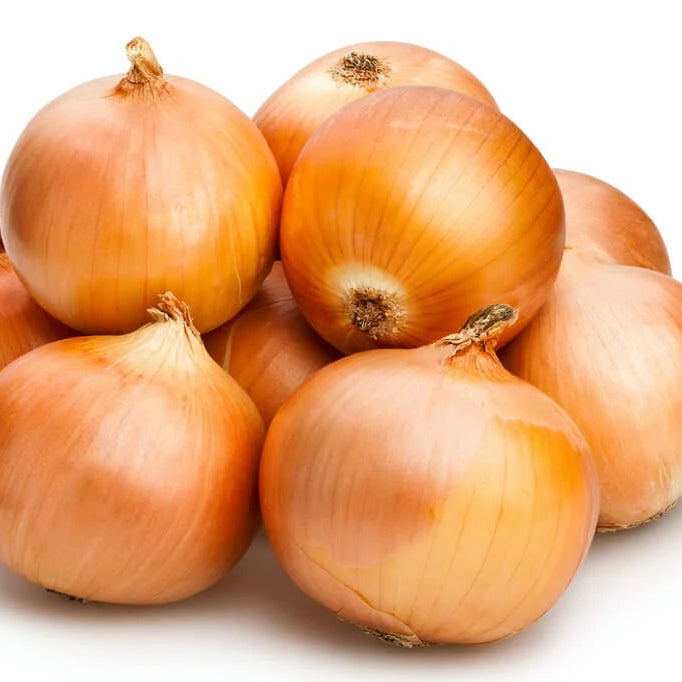 Yellow Onion Seeds 