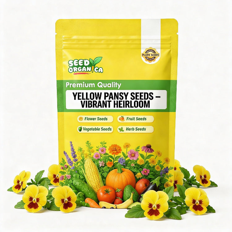 Yellow Pansy Seeds – Vibrant Heirloom