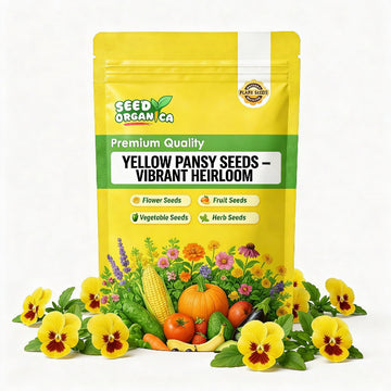 Yellow Pansy Seeds – Vibrant Heirloom