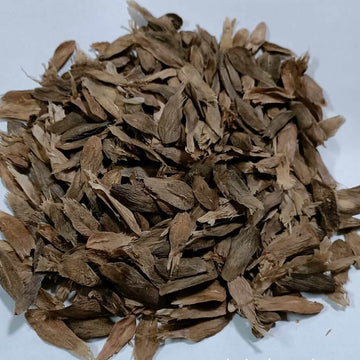 Yellow Purple Plumeria Seeds