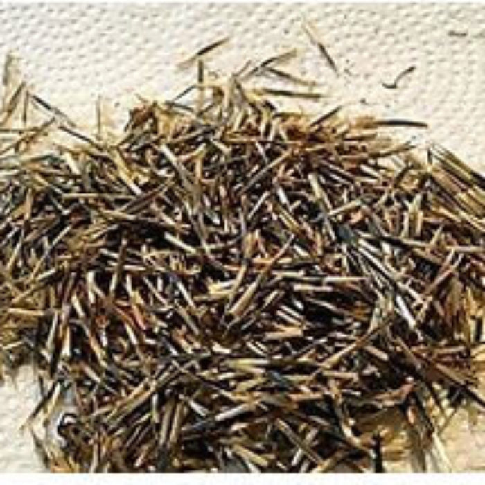 Yellow Rainbow Rosa Seeds 