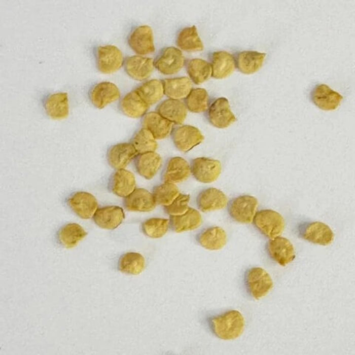 Yellow Red Serrano Pepper Seeds 