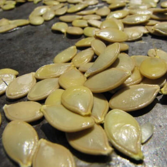 Yellow Summer Squash Seeds