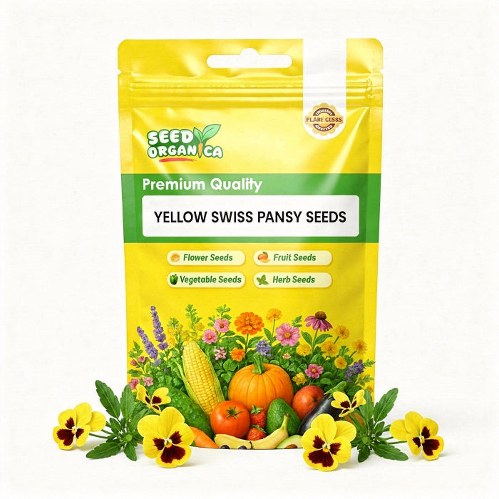 Yellow Swiss Pansy Seeds