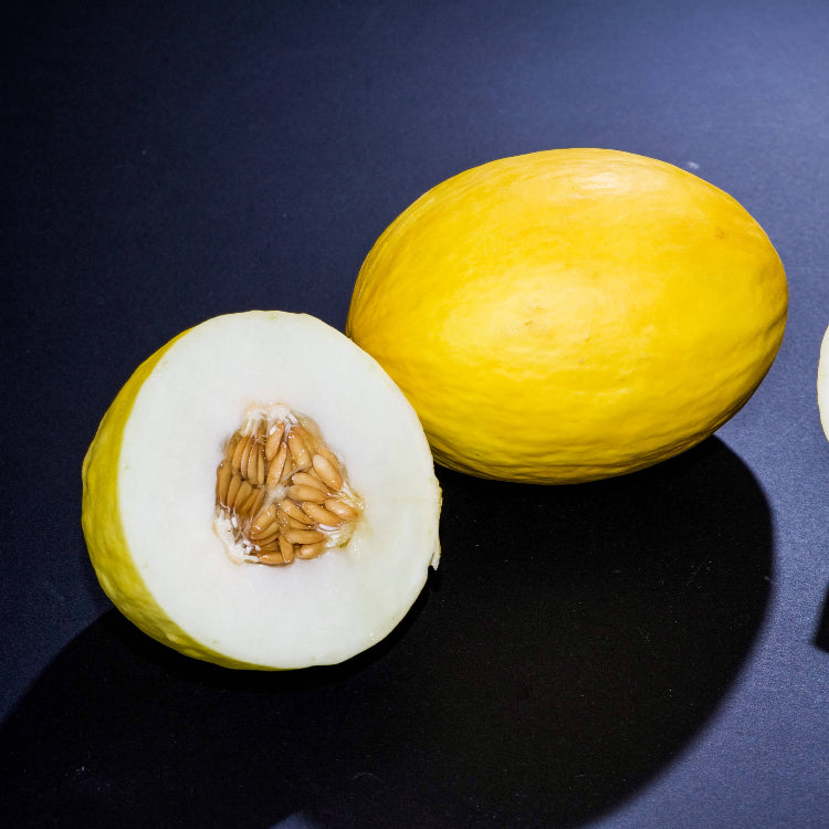 Yellow White Musk Melon Seeds