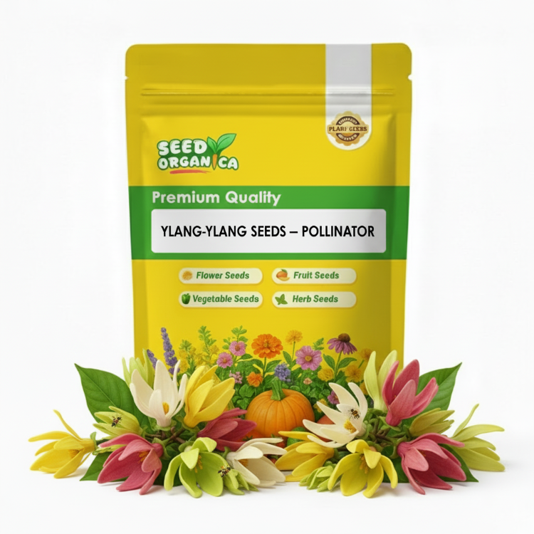 Ylang-Ylang Seeds – Pollinator