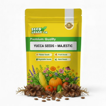 Yucca Seeds – Majestic