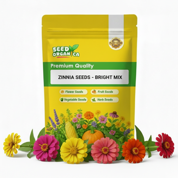 Zinnia Seeds - Bright Mix