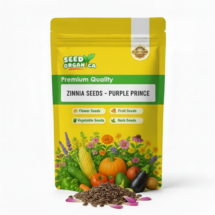 Zinnia Seeds - Purple Prince