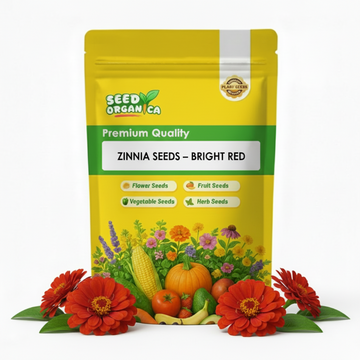 Zinnia Seeds – Bright Red