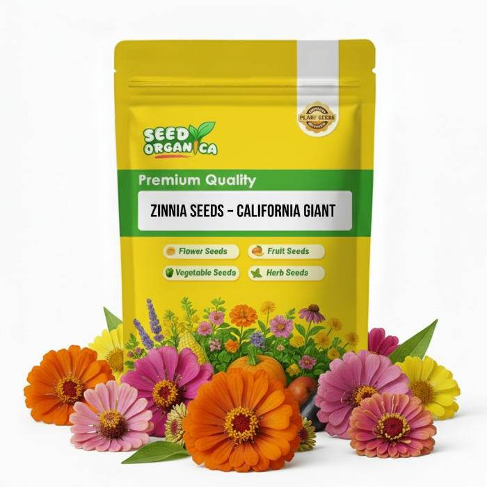Zinnia Seeds – California Giant