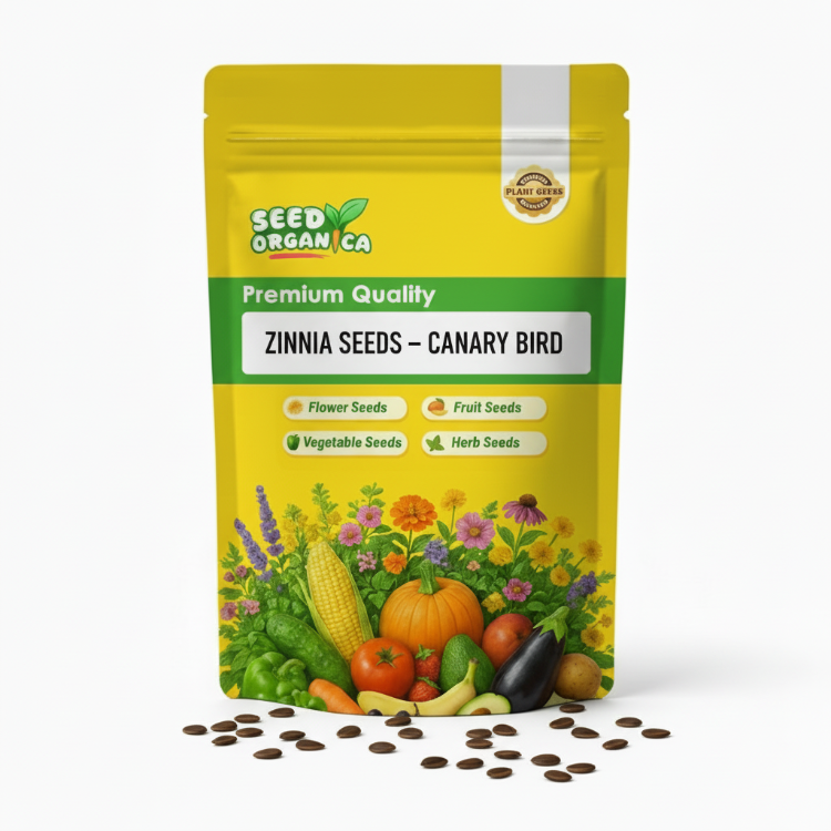 Zinnia Seeds – Canary Bird