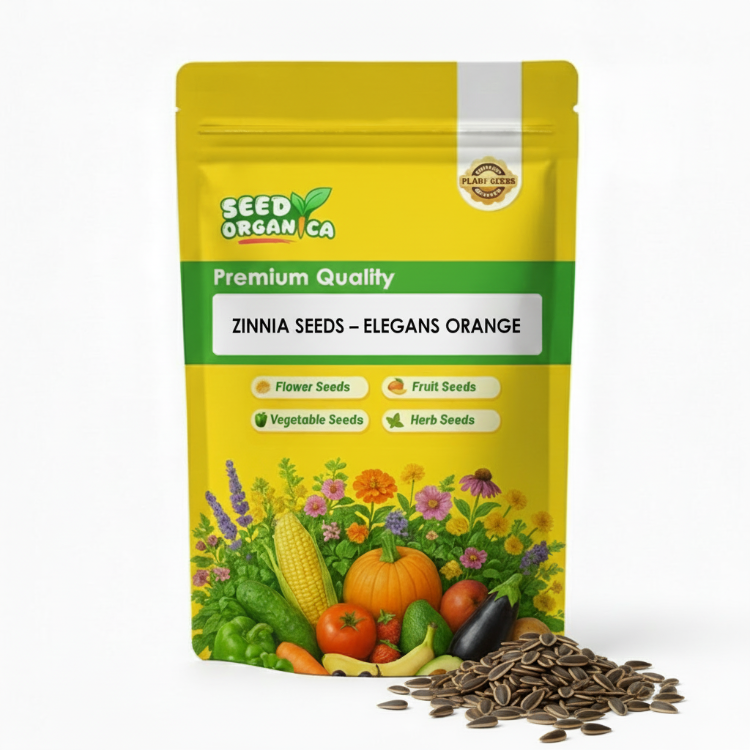 Zinnia Seeds – Elegans Orange