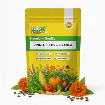 Zinnia Seeds – Orange