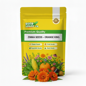 Zinnia Seeds – Orange King