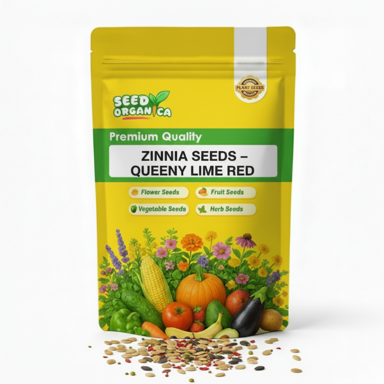 Zinnia Seeds – Queeny Lime Red